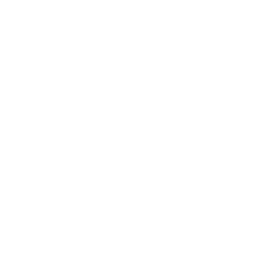 White starburst shape with rays and small squares on a black background.